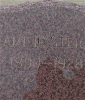 Amilie Nebel Steiner Amilie Nebel Steiner