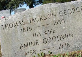 Amine Goodwin George Amine Goodwin George
