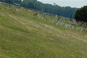 Amish Cemetery