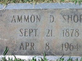 Ammon D Shore