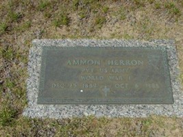 Ammon Herron