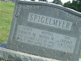 Ammon M. Spigelmyer