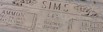 Ammon Sims