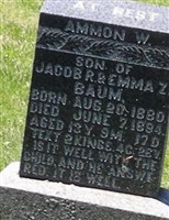 Ammon W Baum
