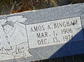 Amos Allen Bingham