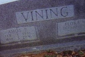 Amos Boyd Vining