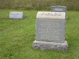 Amos C Fields Amos C Fields