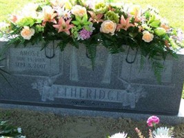 Amos Eugene Etheridge