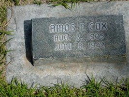 Amos Fielding Cox