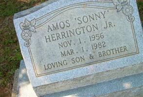 Amos "Sonny" Herrington, Jr