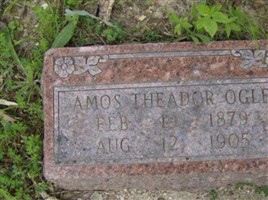 Amos Theodor Ogle