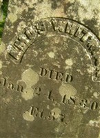 Amos Whitman