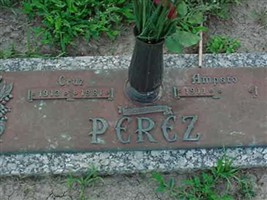 Amparo Perez Amparo Perez