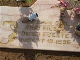 Amri Nicole De La Fuentes Amri Nicole De La Fuentes