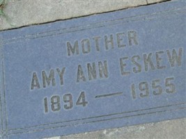 Amy Ann Snelling Eskew