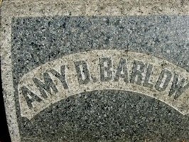 Amy D Barlow