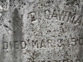 Amy D Cawman Amy D Cawman