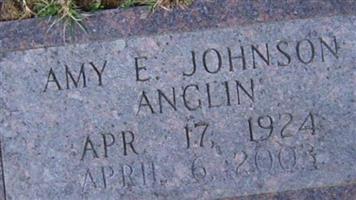 Amy E. Johnson Anglin