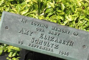 Amy Elizabeth Schultz Amy Elizabeth Schultz