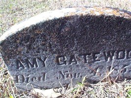 Amy Gatewood