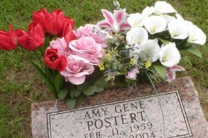 Amy Gene Postert