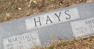 Amy Hays
