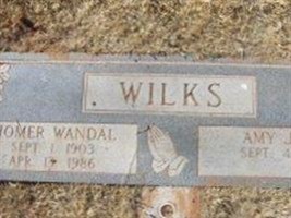 Amy Jean Townsend Wilks