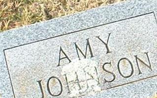 Amy Johnson