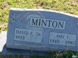 Amy L Minton Amy L Minton