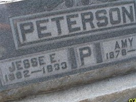 Amy L Peterson Amy L Peterson