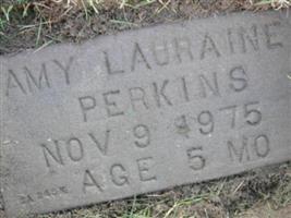 Amy Lauraine Perkins