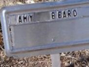 Amy Lee Loftin Beard