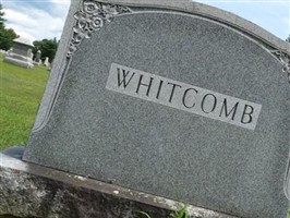 Amy Louise Whitcomb