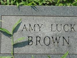 Amy Luck Brown