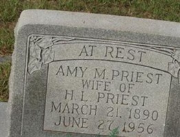 Amy M. Priest