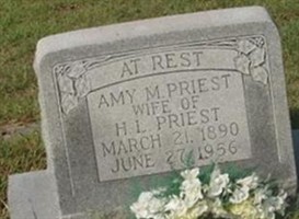 Amy M. Priest