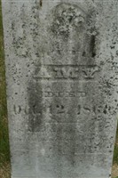 Amy Mulholland