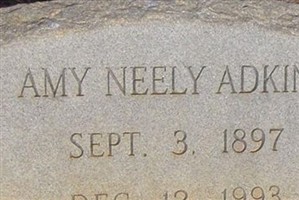 Amy Neely Adkins Amy Neely Adkins