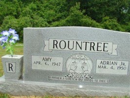 Amy Rountree