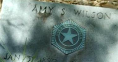 Amy S. Wilson