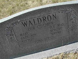 Amy Servernia Ware Waldron