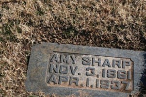 Amy Sharp Amy Sharp