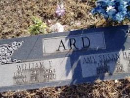 Amy Susan Hankins Ard