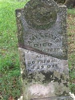 Amy T Ellis