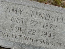 Amy Tindall Amy Tindall