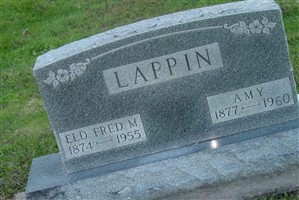 Amy Tolbert Lappin