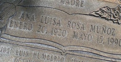 Ana Louisa Munoz Ana Louisa Munoz