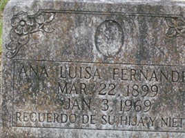 Ana Luisa Fernandez Ana Luisa Fernandez