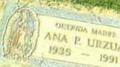 Ana P. Urzua