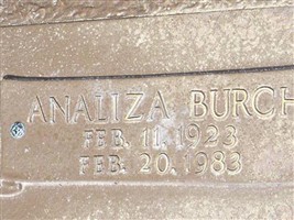 Analiza Burch Sikes